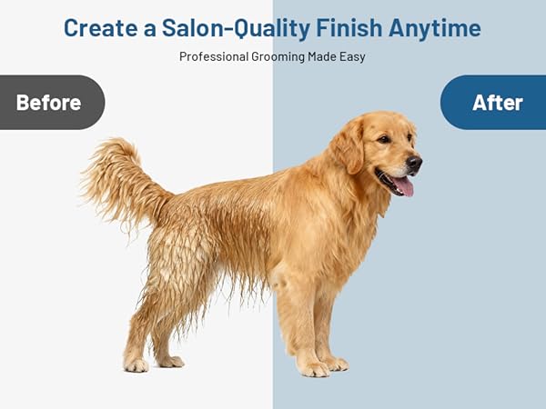 professional grooming