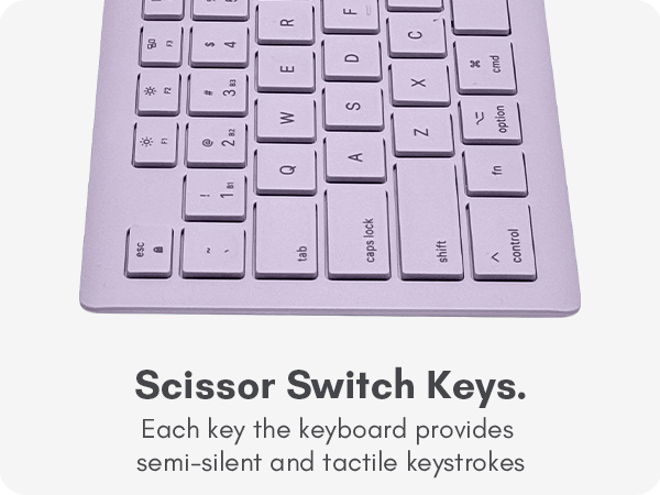 BTSLKEYPUCB (Premium A+)