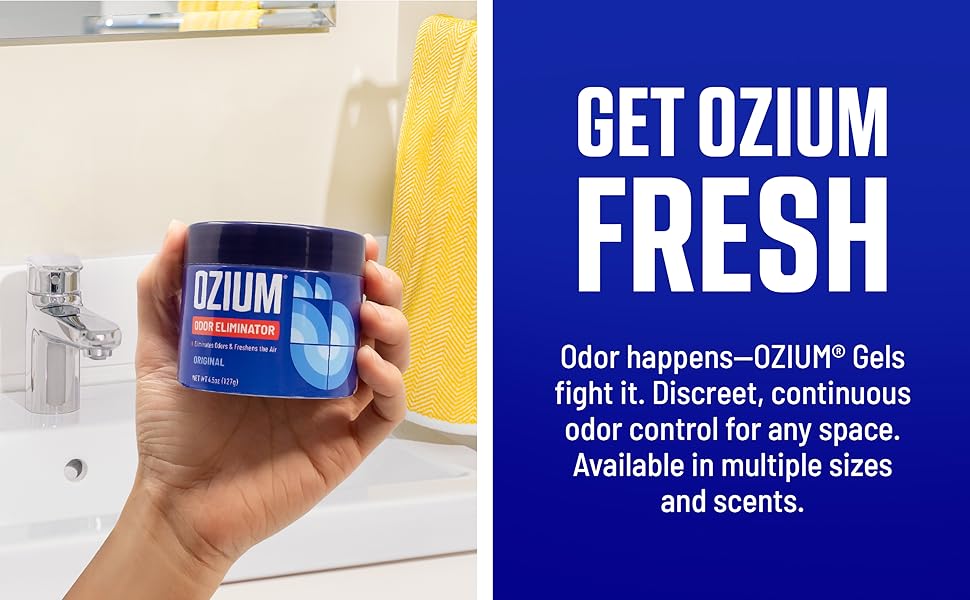 ozium air sanitizer ionizer purifier anti bacterial gel sanitizing fabric gel