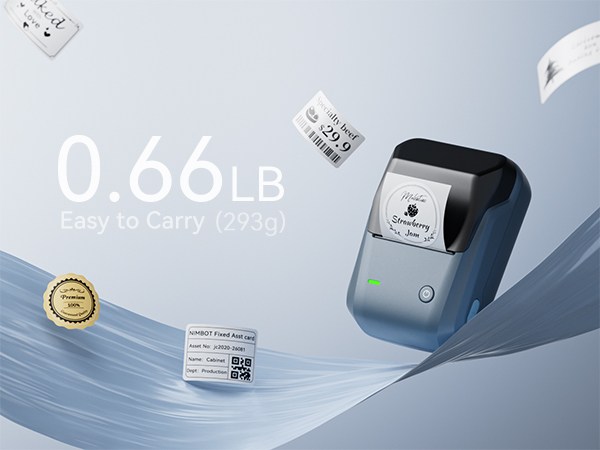 NIIMBOT B1 label maker