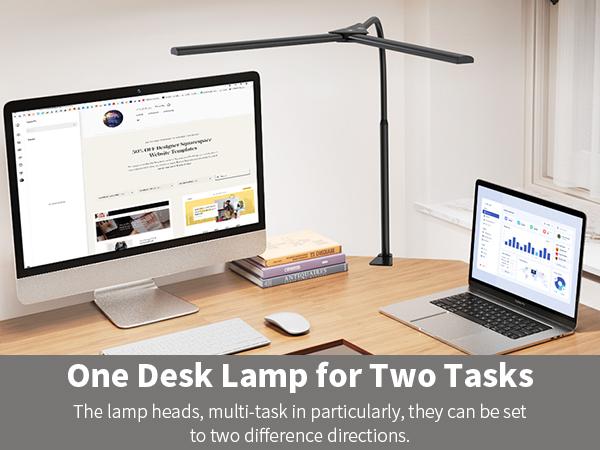 dual desk lamp