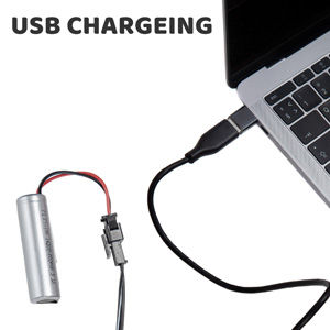 Intelligent robot dog