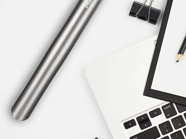 flat iron and curling iron in one PRITECH hair straightener