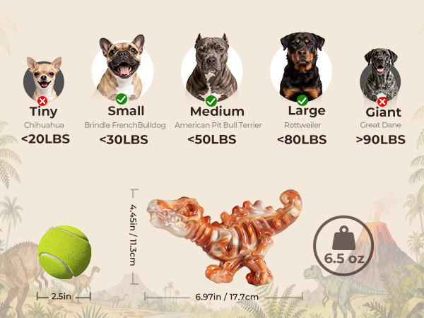 dog chew toys