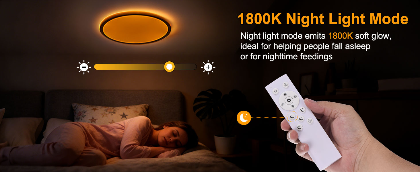 flush mount ceiling light