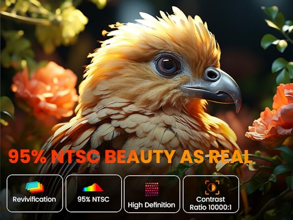 projector with wifi and bluetooth