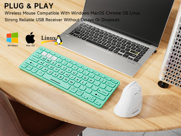 ergonomic mouse white