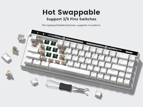 Hot-Swappable Switches