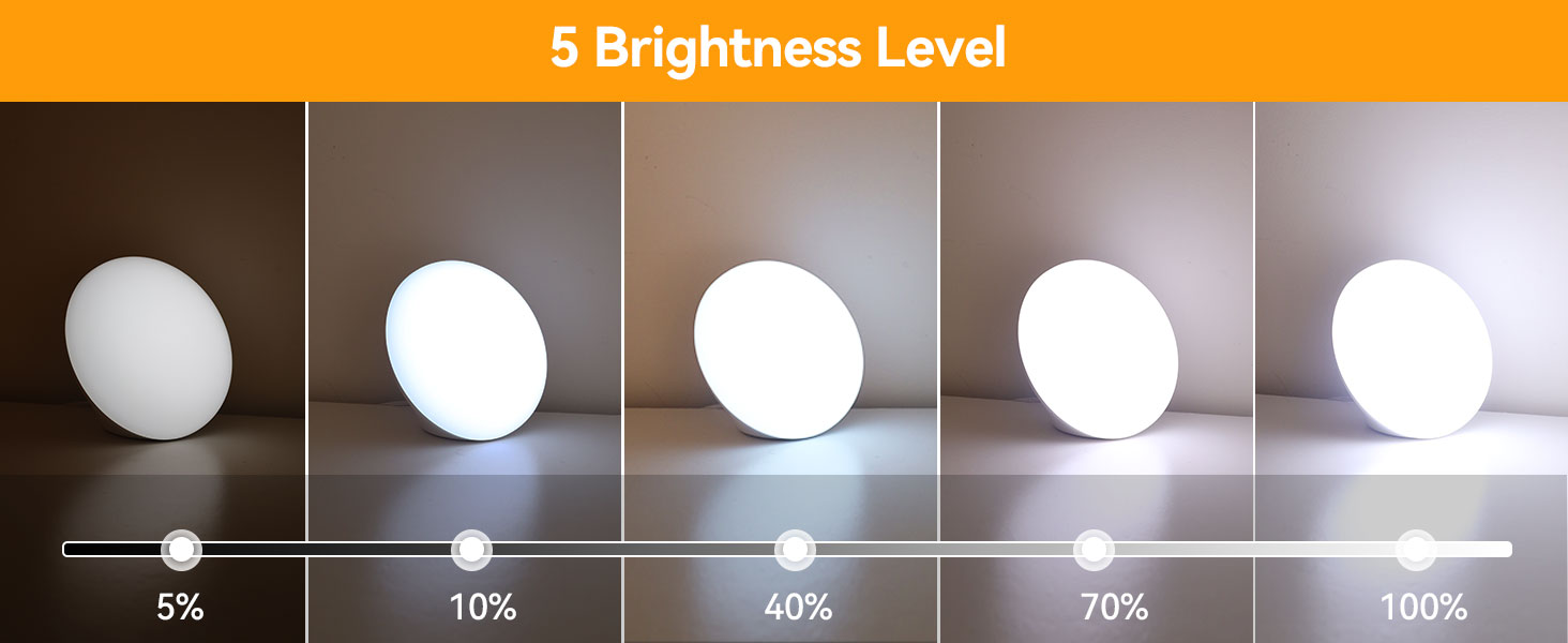 5 Brightness Level