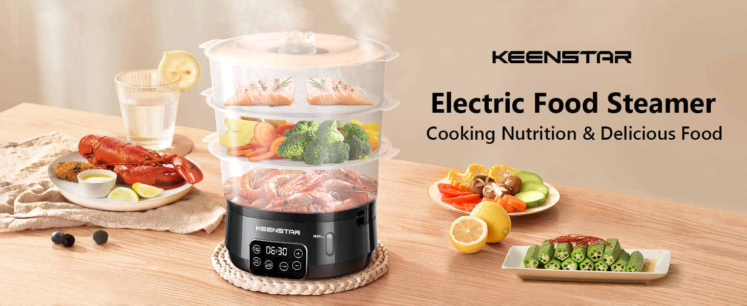 eletric food steamer