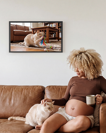 digital photo frame