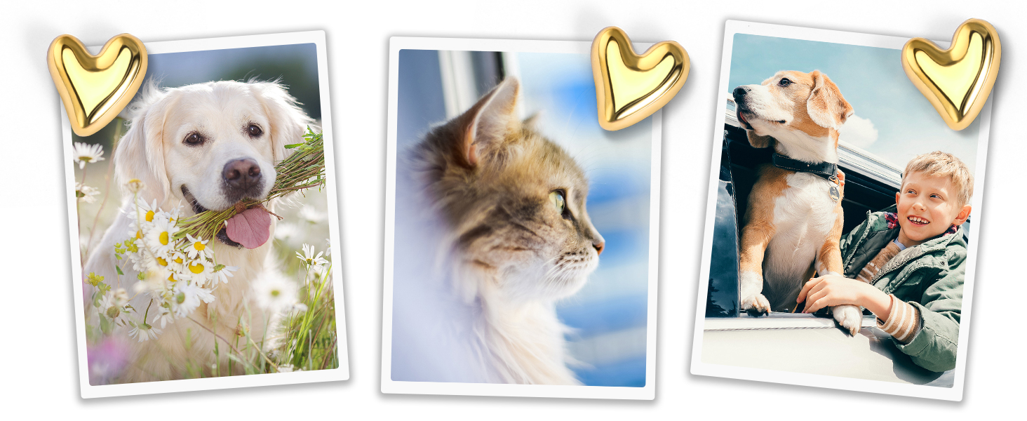 thumb tacks for wall