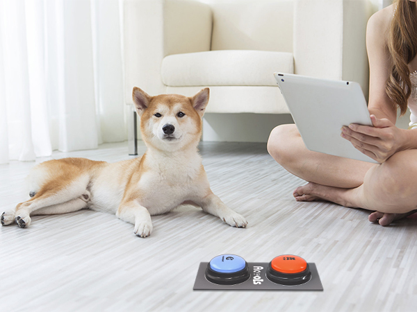 Pet Training Buzzer