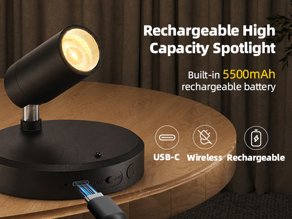 Rechargeable battery plant spotlight indoor
