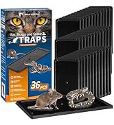 LULUCATCH Sticky Mouse Trap, 36 Pack Large Glue Traps, Pre-Baited Heavy Duty Non-Toxic Bulk Glue ...