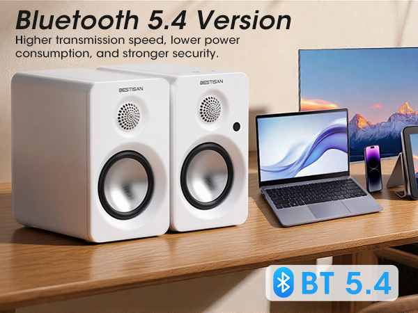 Speakers for computer