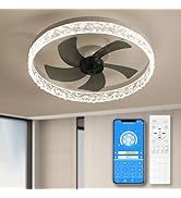 lifeholder 20" Modern Ceiling Fans with Lights and Remote, Dimmable Ceiling Lights, Flush Mount B...