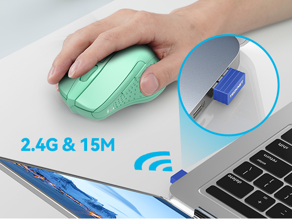 mouse