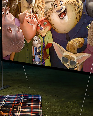 Outdoor projection screen