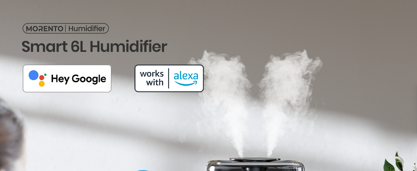Smart 6L Humidifier