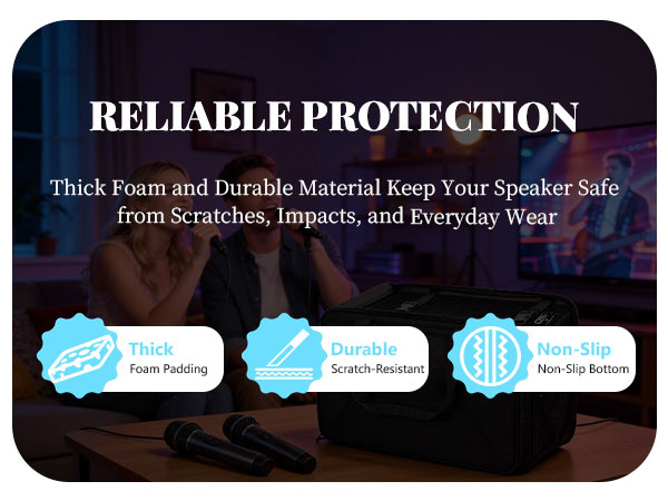 speaker carrying case