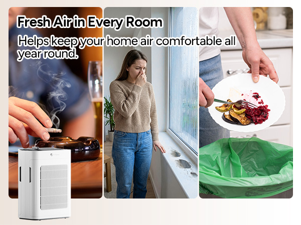 hepa air purifiers for mold