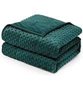 Wemore Minky Dot Weighted Blanket for Adults Queen Size 15 lb, Soft Heavy Blanket for Stress Reli...