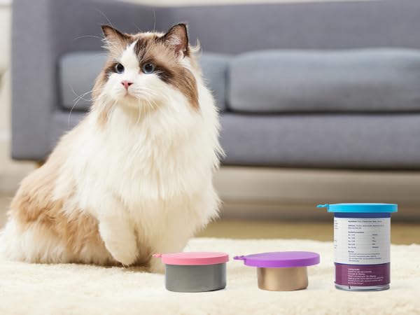 cat lids