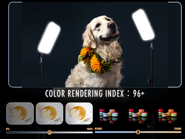 light for video recording