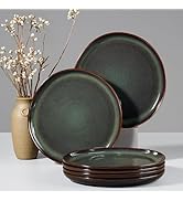 HaWare Stoneware Dinner Plates Set of 6, 10" Heavy Duty Ceramic Plates, Reactive Glaze Dinnerware...
