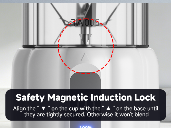 Magnetic Induction System