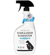 charcoal odor absorber activated closet deodorizer eliminator home freshener air closets bamboo car