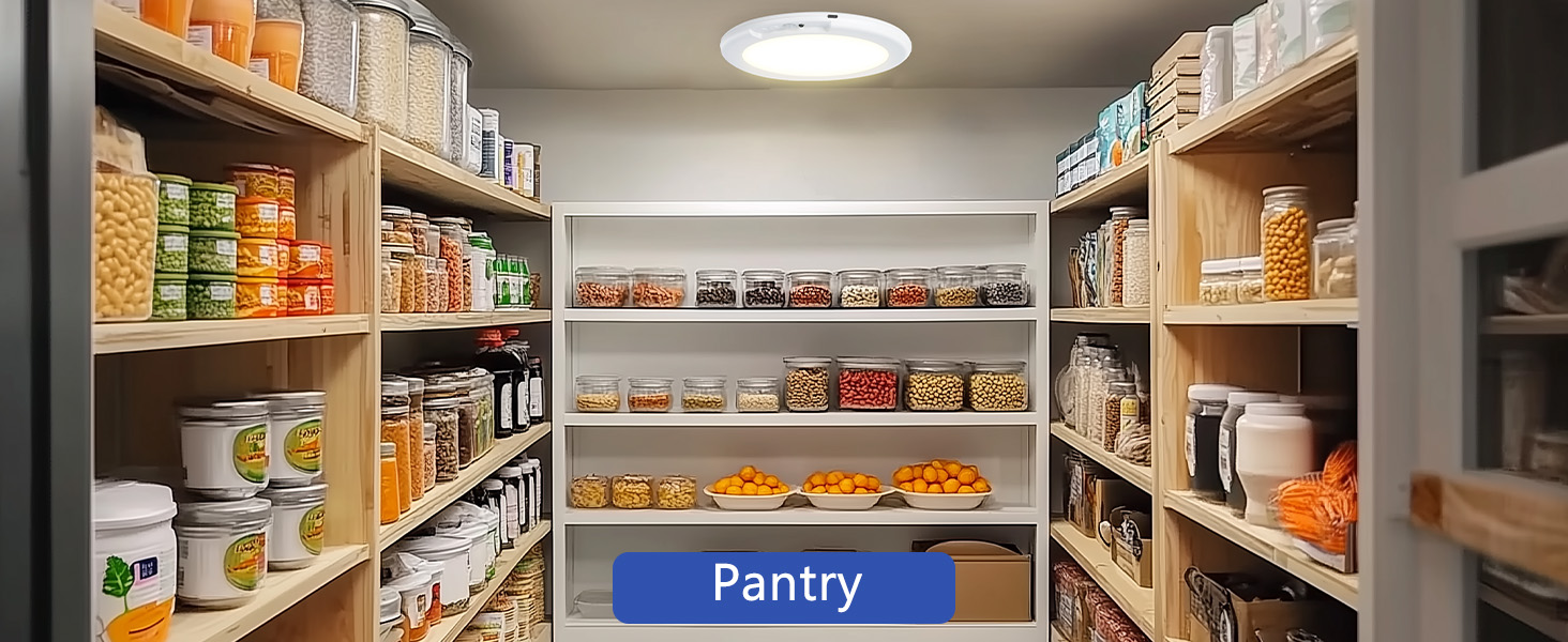 battery closet light