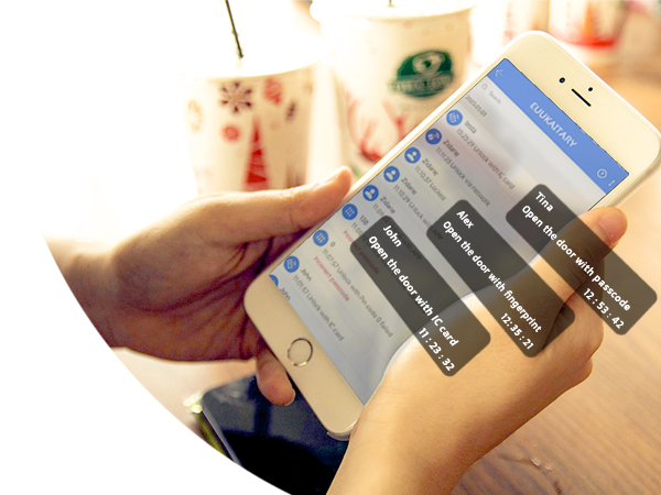 keypad door lock with handle