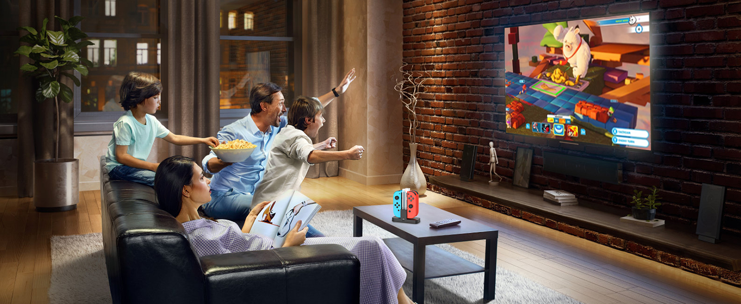 nintendo switch controller charger