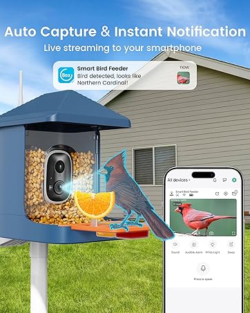 Bird feeder with camera
