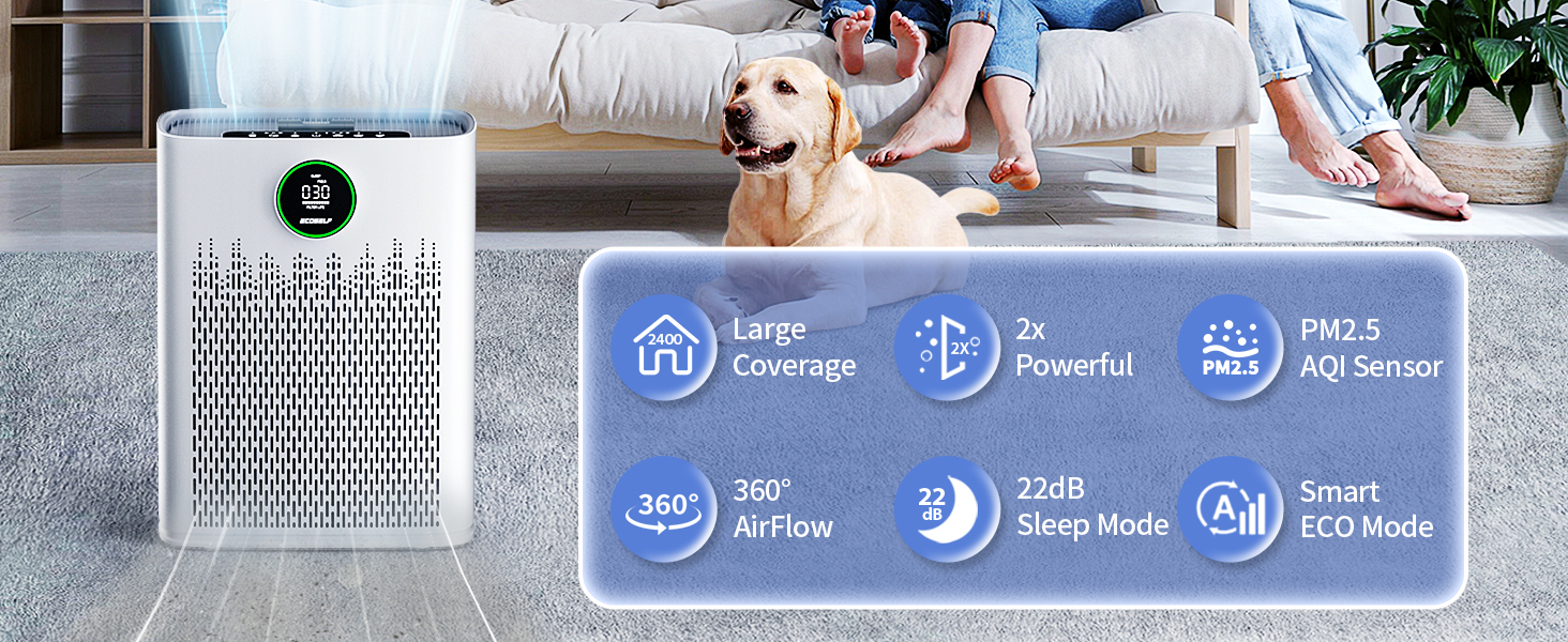 air purifier
