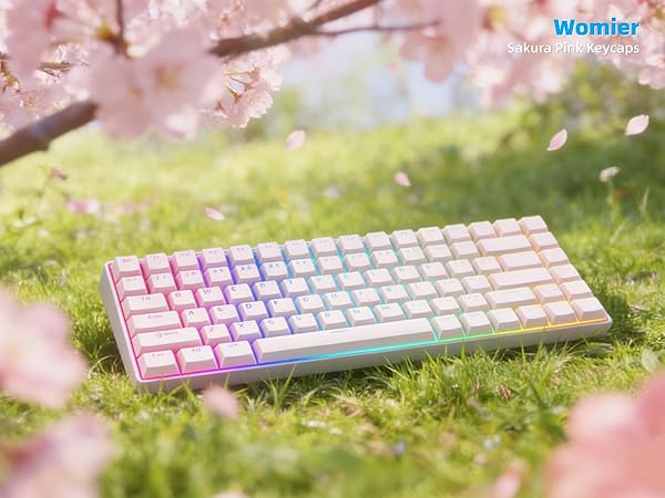 Womier PBT Keycaps for Mechanical Keyboard, Shine Through Key caps PBT Custom Keycap