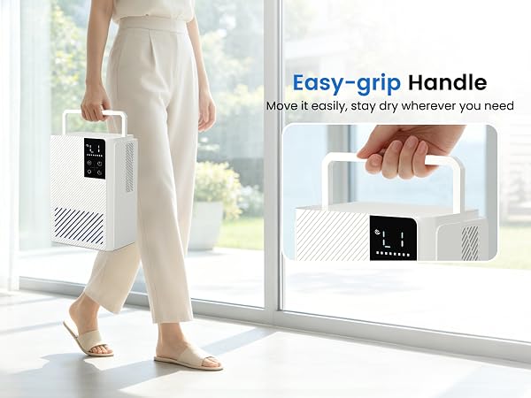 dehumidifiers for home