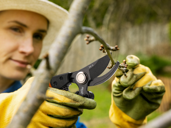 garden shears