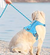 Air No Pull Dog Harness