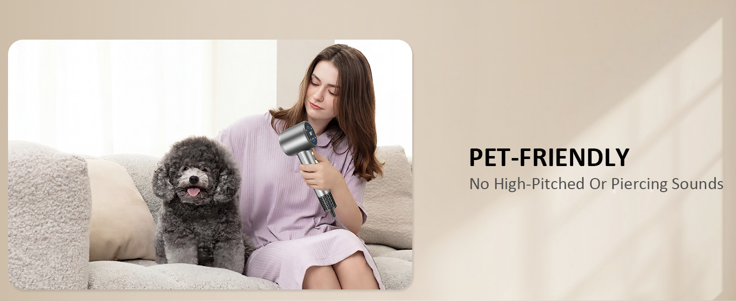 hair dryer for pet