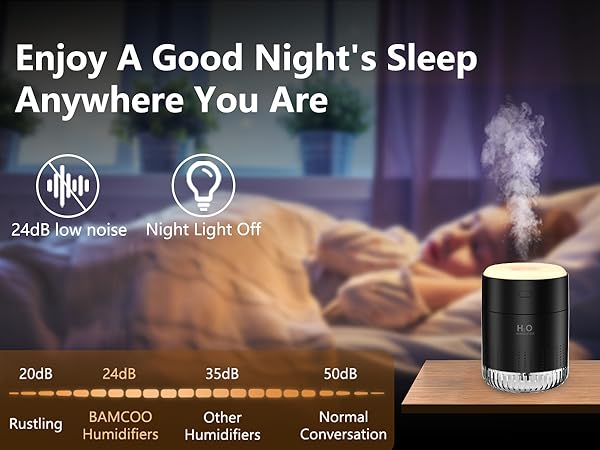 plant humidifier indoor