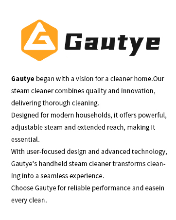 steam cleaner, steamer for cleaning, handheld steam cleaner, steam cleaner for home, steam cleaner