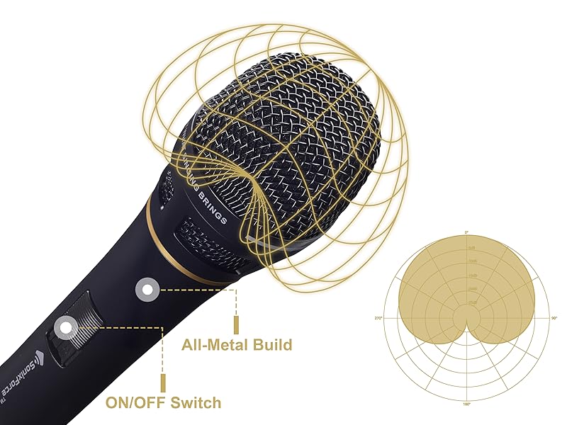 professional microphone for singing