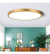 9 Inch Gold LED Flush Mount Ceiling Light, 5000K Daylight White Low Profile LED Ceiling Light, 18...