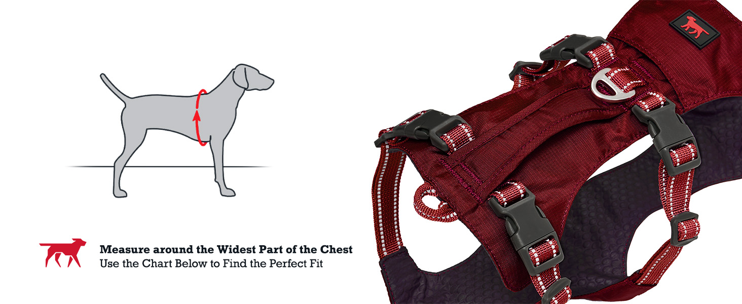 Trailblaze Harness