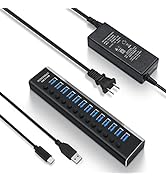 Powered USB Hub Rosonway Aluminum 13 Port USB 3.1 Hub up to 10Gbps with 72W (12V/6A) Power Adapte...