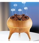 BLOIMP Essential Oil Diffuser 250ML,Jellyfish Diffuser Air Humidifiers Dynamic Sound Pickup Ultra...