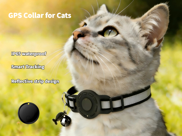 GPS Collar for Cats